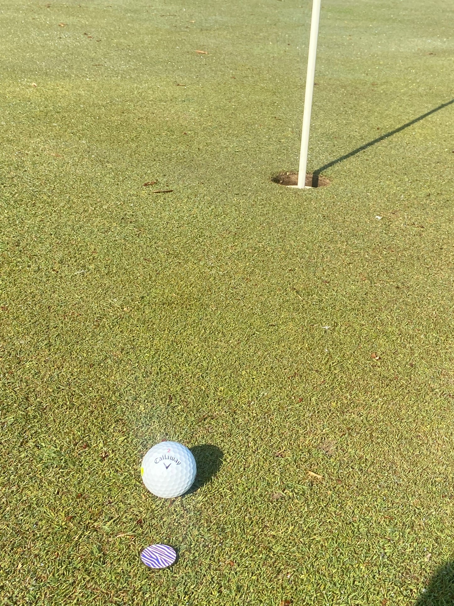 Z Print Magnetic Ball Marker